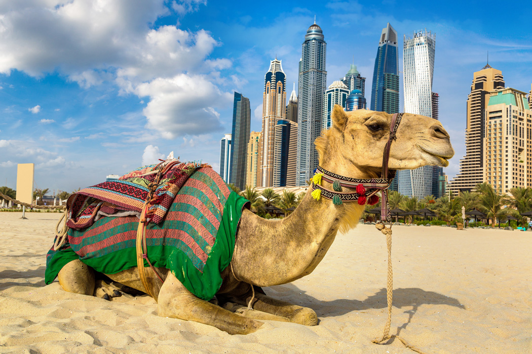 Bayramı Wyndham Farkıyla Lara’da Karşıla!